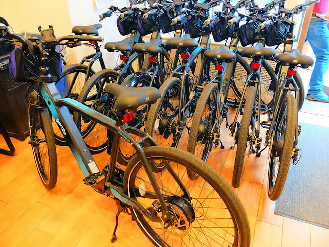 Travelling to New York with a disability - Electric Bike