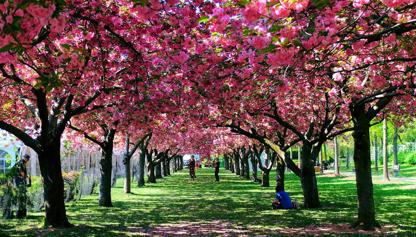 Weather in New York - Spring