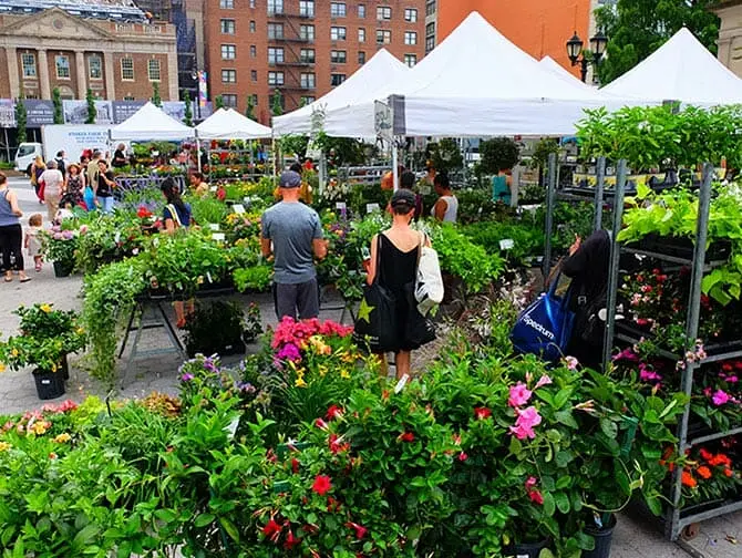 New York Markets Plants on Union Square