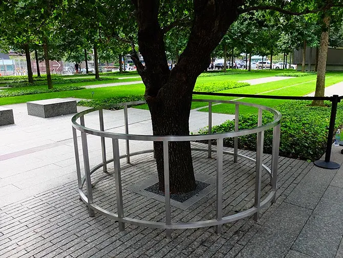 9/11 Memorial in New York - Survivor Tree