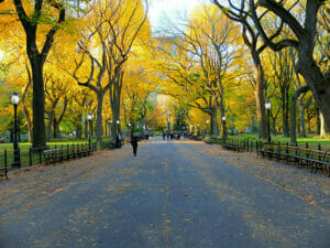 Central Park in New York - NewYork.co.uk