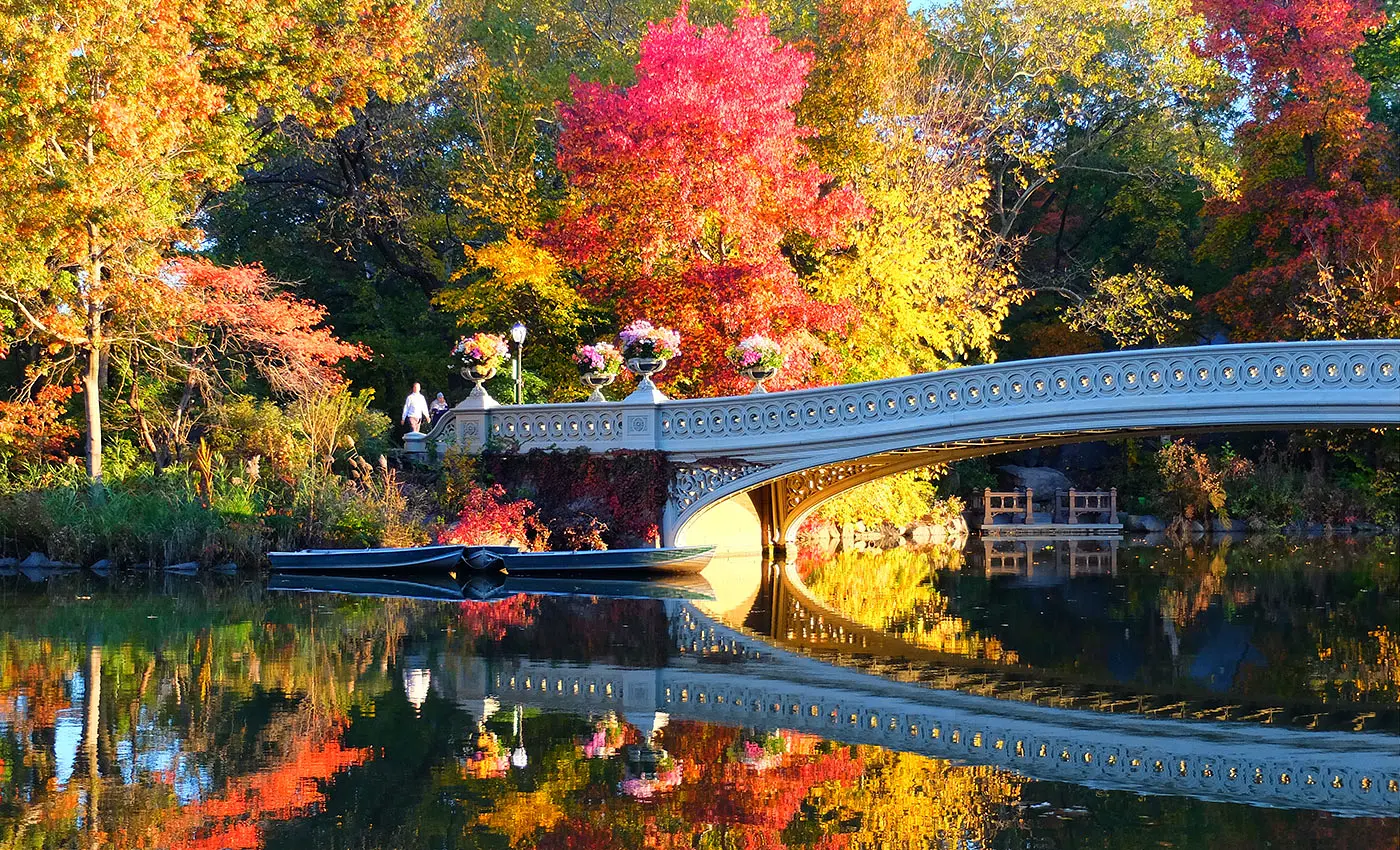 Central Park Bow Bridge