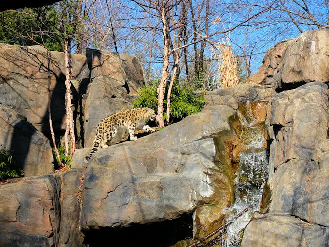 Central Park in New York - Zoo
