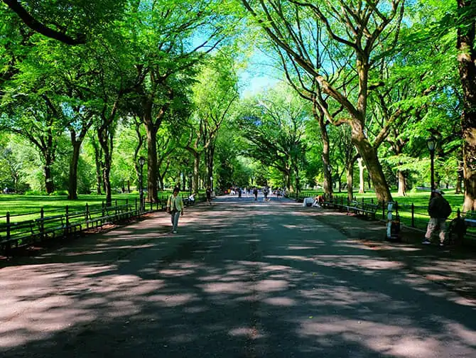 Labor Day in New York - Walking in Central Park
