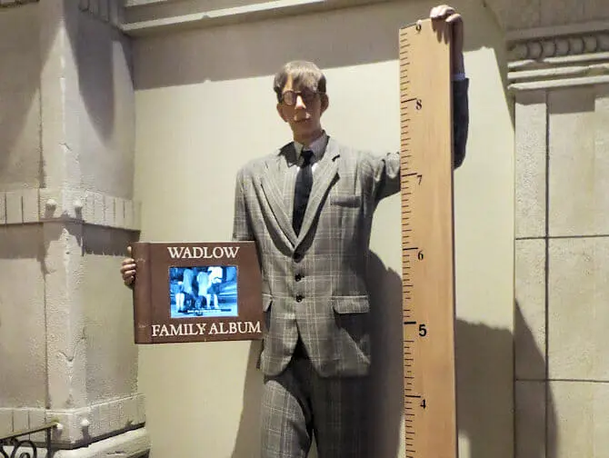 Ripley's Believe It or Not! in New York - Tall