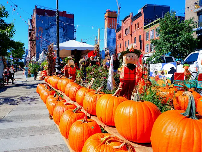 Halloween pumpkins in New York