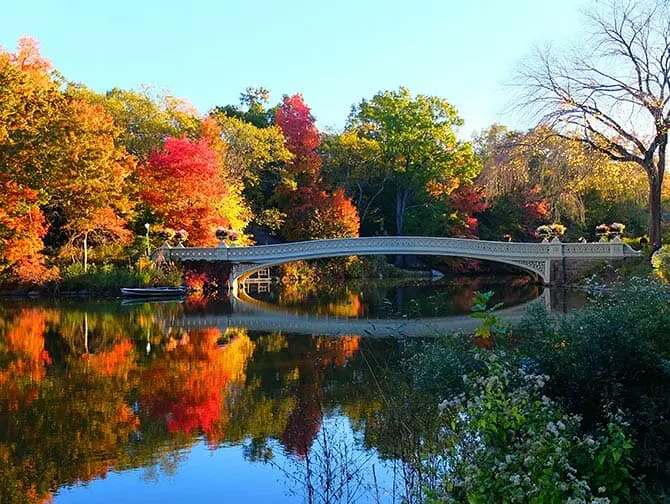 Central Park Movie Sites Walking Tour - Bow Bridge