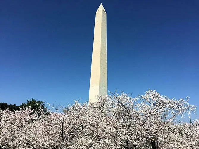 New York to Washington D.C. Bus Tour - Monument