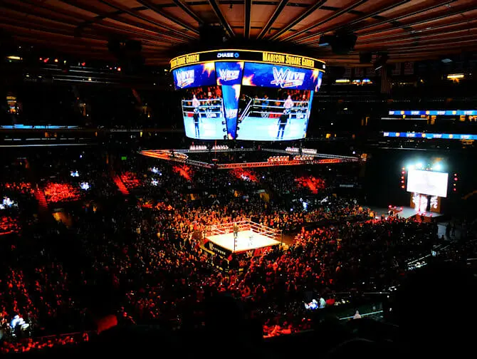 WWE Wrestling Tickets in New York - Audience