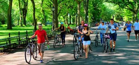 Bike Tours