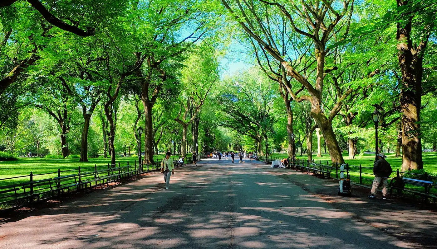 Mother's Day in New York - Central Park