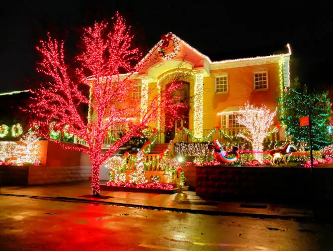 Private Christmas Dyker Heights Tour