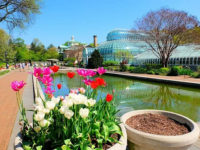 Botanical Gardens in New York - Brooklyn Botanic Garden