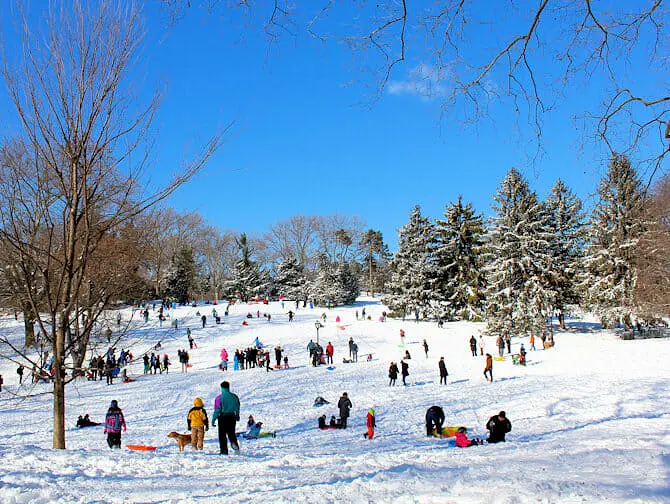Snow in New York - Central Park
