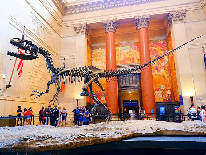 Go City All-Inclusive New York Pass - Museum