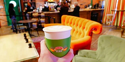 The FRIENDS Experience