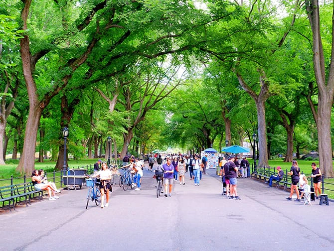 New York Walking Routes - Central Park