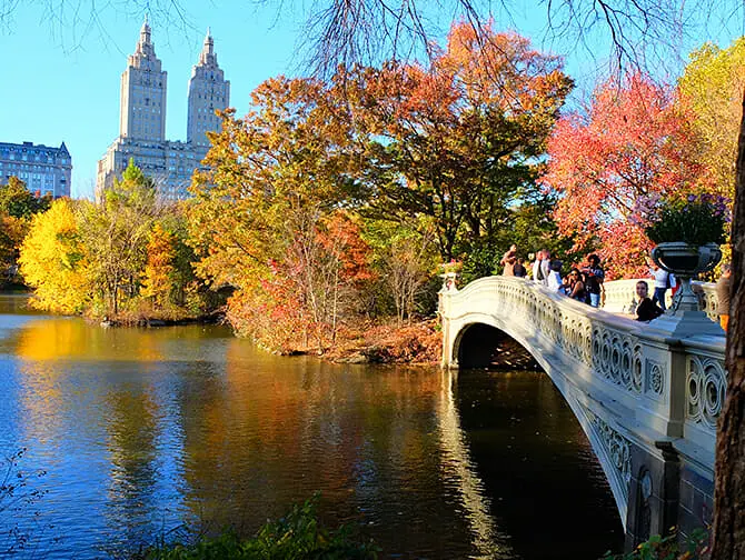Getting Married in New York - Central Park