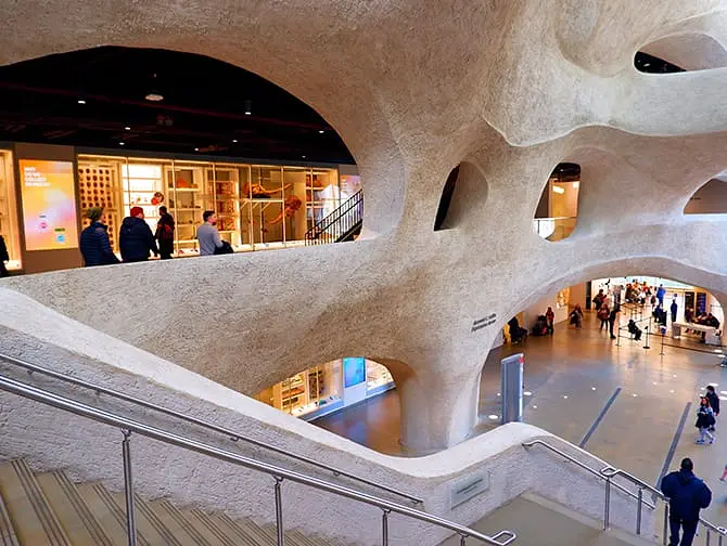 The American Museum of Natural History in New York - Extension