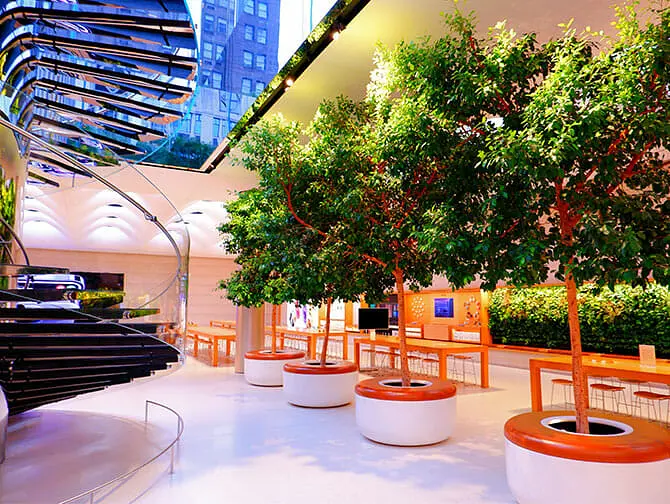 Apple Store in New York - Fifth Avenue