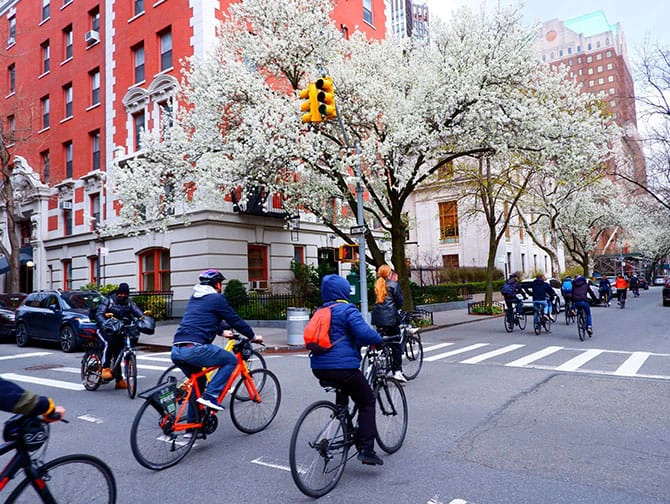 Bike Tours in New York - Highlights Tour