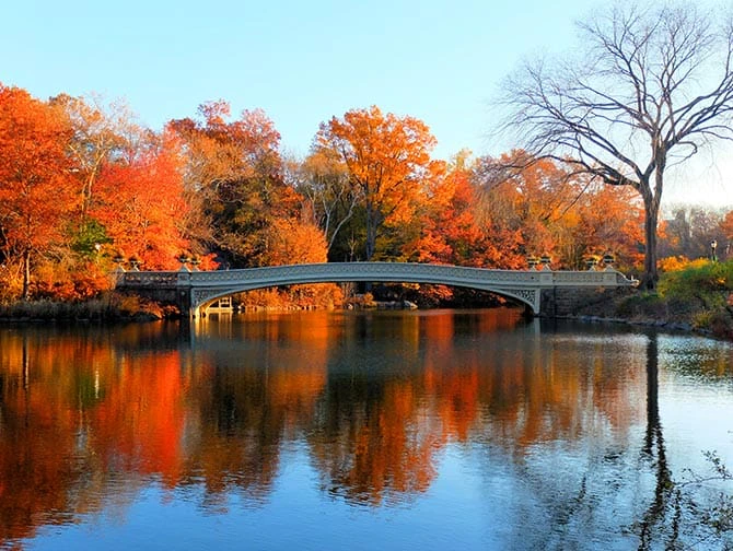 Bike Tours in New York - Bow Bridge