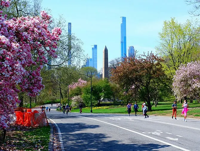 Pass for New York - Bike