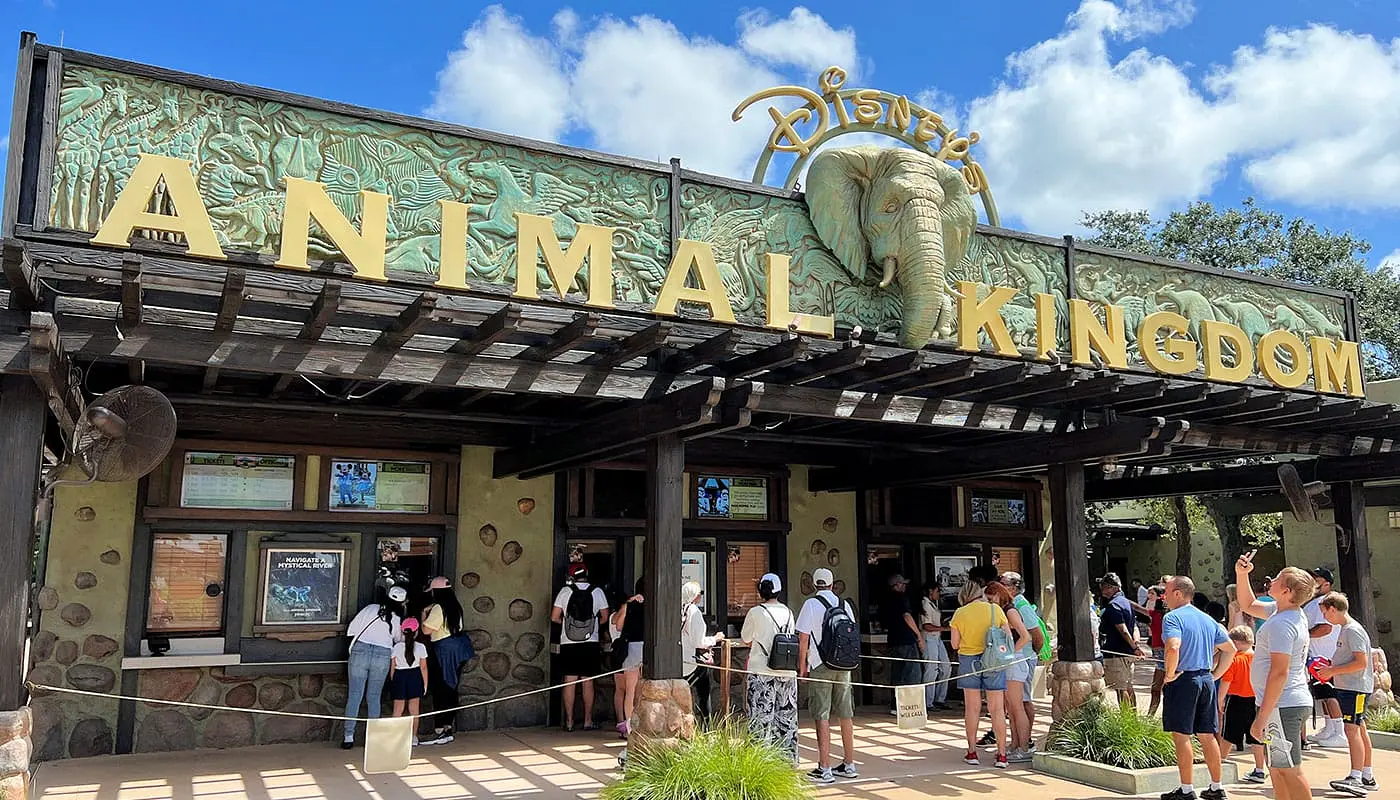 Combine New York with Orlando - Disney's Animal Kingdom Theme Park