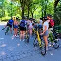 Bike Tours