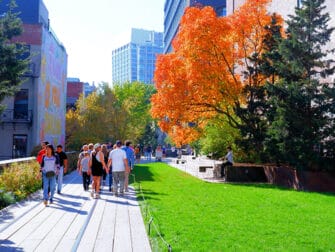 The High Line in New York - Nature