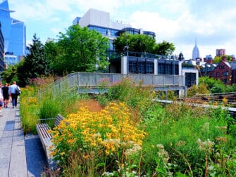 High Line Park in New York - Views