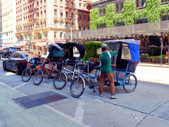 Pedicab Tour in Central Park - Rickshaws