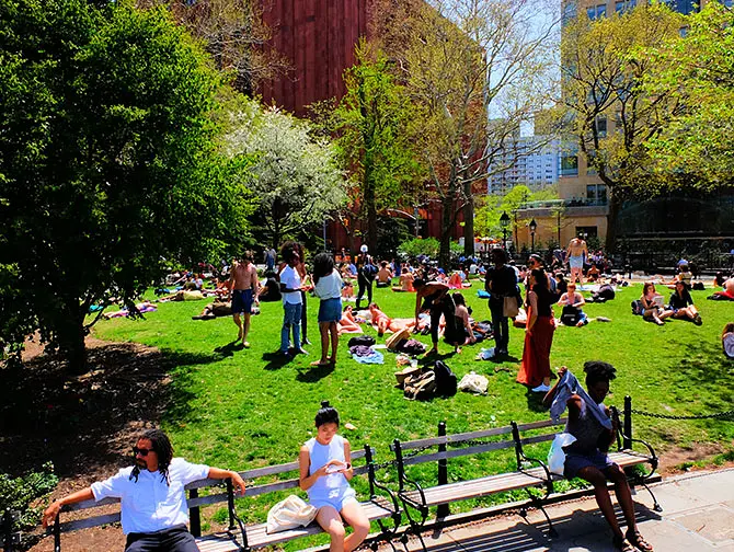 Washington Square Park in New York - Vibrant Park in Greenwich Village