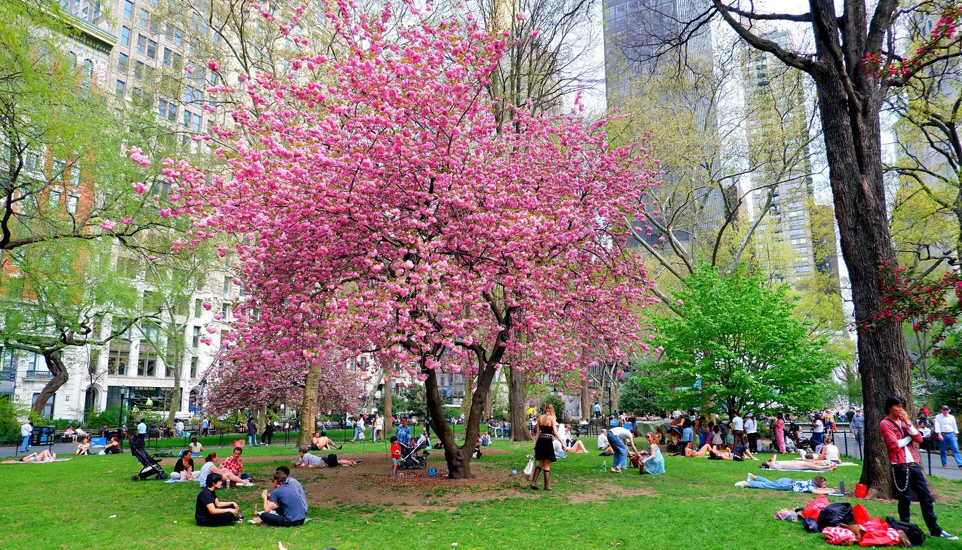 Madison Square Park in New York - Spot where New Yorkers relax