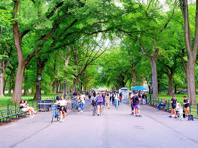 Walking Route Central Park in New York